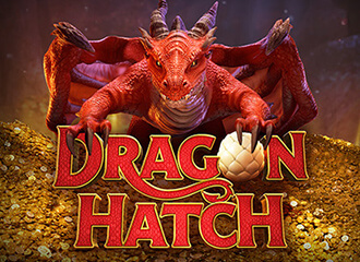 Dragon Hatch