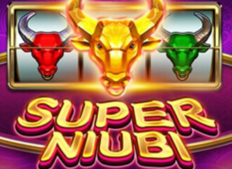 SUPER NIUBI